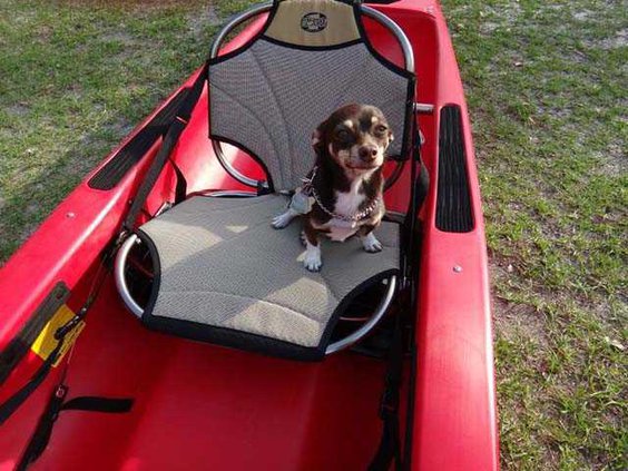 JimGrayPaddling