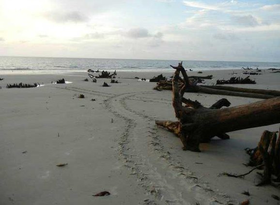 0928 Jekyll Island