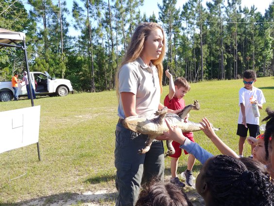 DNR 1 gator.jpg